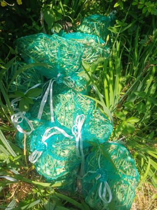 삼성농산님의 마늘 · 수확 작성글 사진