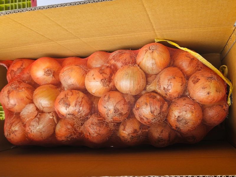 장터 상품 [만생종 무안양파 20kg] 썸네일