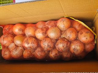 이영민님의 작성글 사진