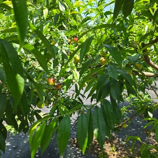 양배추21889님의 자유주제 · 자유게시판 작성글 사진