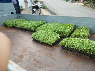 알 수 없음님의 자유주제 · 자유게시판 작성글 사진