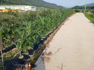 알 수 없음님의 자유주제 · 자유게시판 작성글 사진