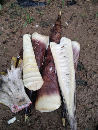 이현상님의 작성글 사진