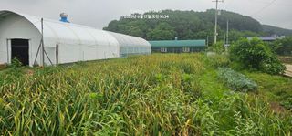 윤창기님의 농사, 무엇이든 물어보세요! · 참여글 작성글 사진