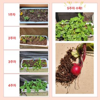 아시아종묘님의 자유주제 · 자유게시판 작성글 사진