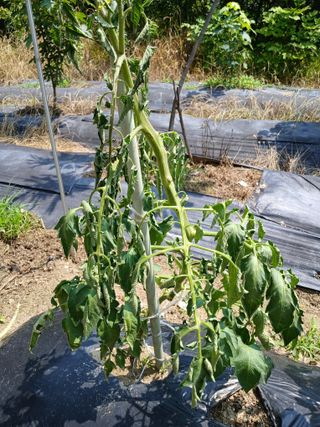 윤은정님의 자유주제 · 자유게시판 작성글 사진