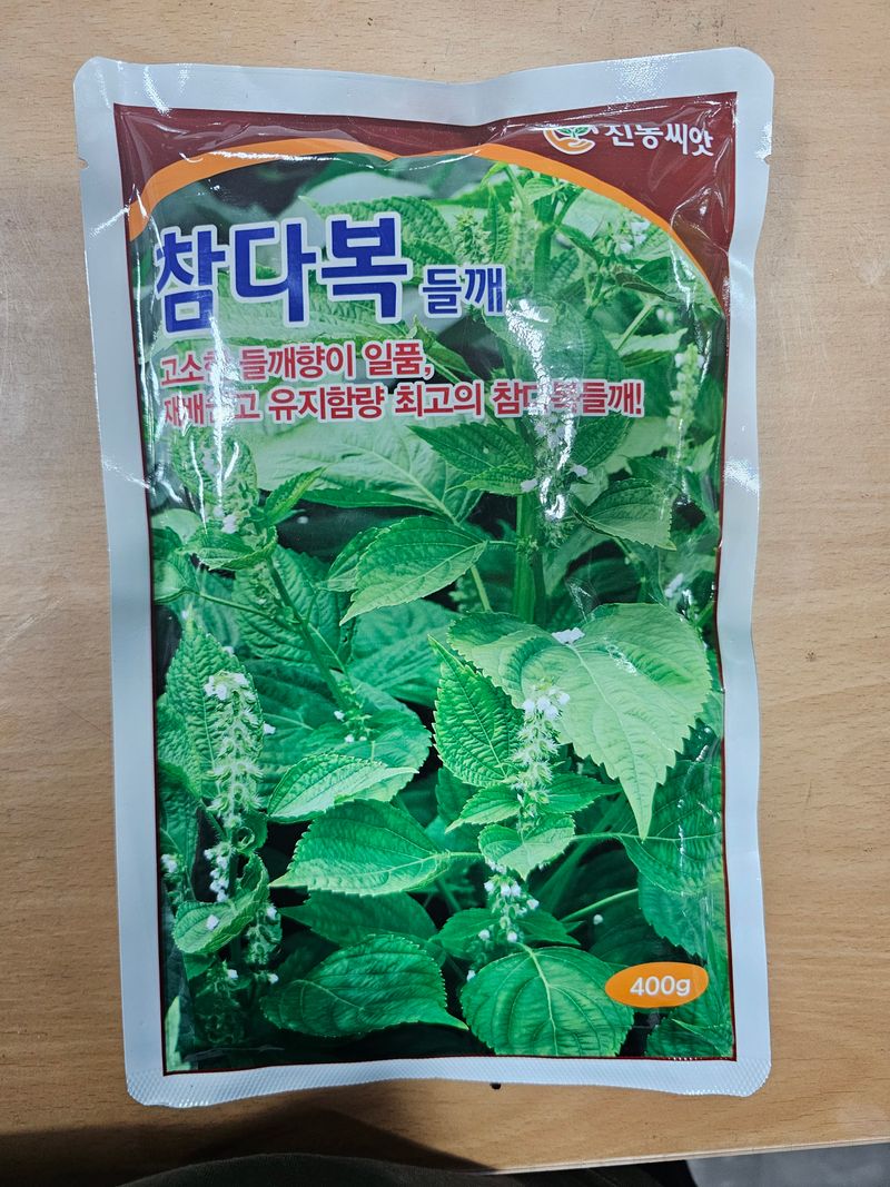 한농농약종묘사님의 장터 판매 상품 [[들깨모종]기름많이 나오는 들깨모종] 첨부 사진