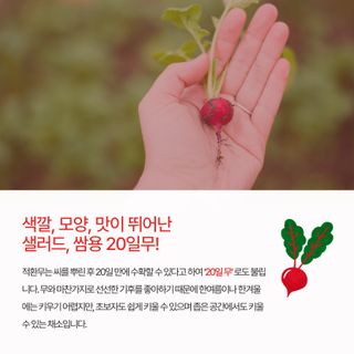아시아종묘님의 자유주제 · 자유게시판 작성글 사진