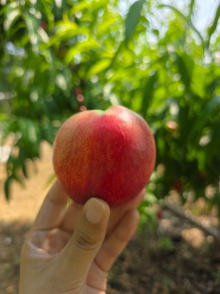 배성은365님의 자유주제 · 자유게시판 작성글 사진