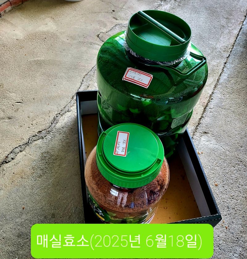 이슬농부농산님의 장터 판매 상품 [일선정품 친환경 토종 청매실(10kg)] 첨부 사진