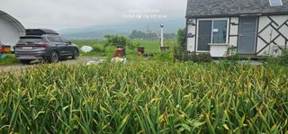 윤창기님의 농사, 무엇이든 물어보세요! · 참여글 작성글 사진