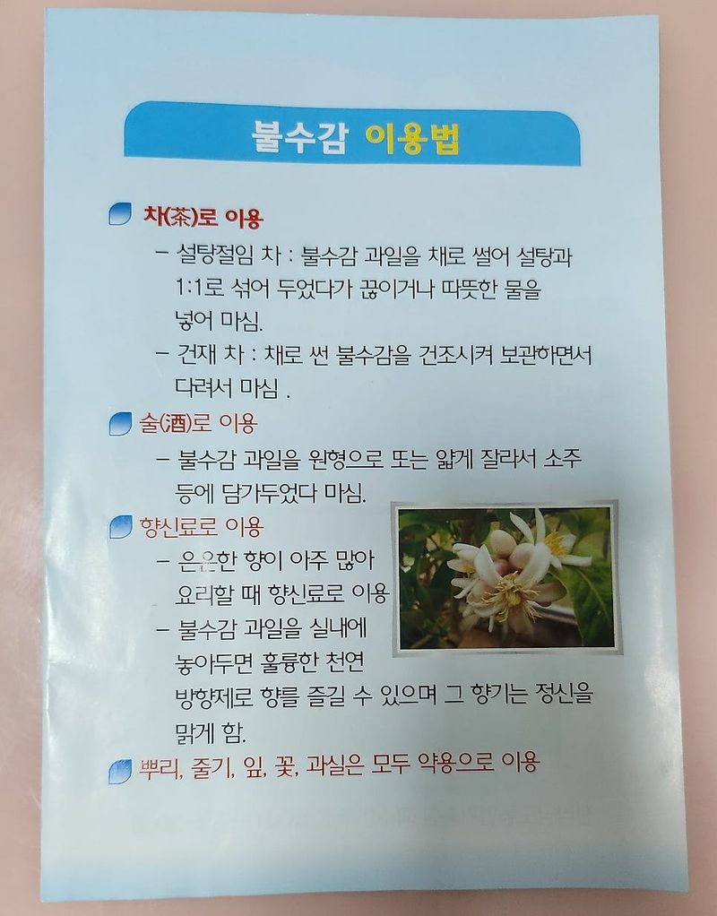 정미리님의 장터 판매 상품 [갈아만든 냉동 불수감 1.5kg] 첨부 사진
