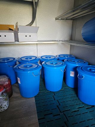 왕개미님의 자유주제 · 사진전 작성글 사진