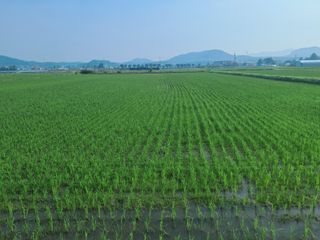 안동준 님의 자유주제 · 자유게시판 작성글 사진