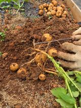 팜모닝 자유주제·자유게시판 게시글 이미지