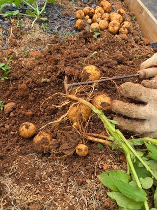 유기농으로키우자님의 자유주제 · 자유게시판 작성글 사진