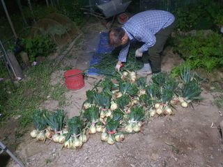 이춘기님의 자유주제 · 자유게시판 작성글 사진