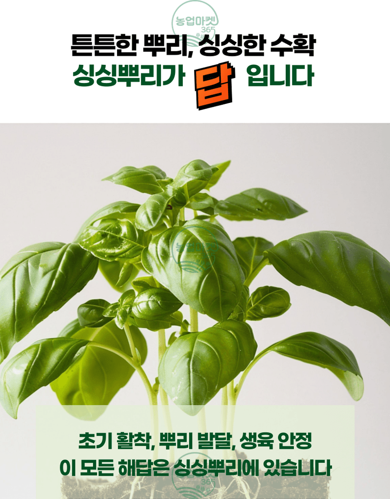 농업마켓365님의 장터 판매 상품 [농업마켓365 융전 싱싱뿌리 액제 500ml 뿌리발근제 뿌리활력 아미노산 새뿌리발달 염류장해 토양개량 육묘 텃밭 ] 첨부 사진