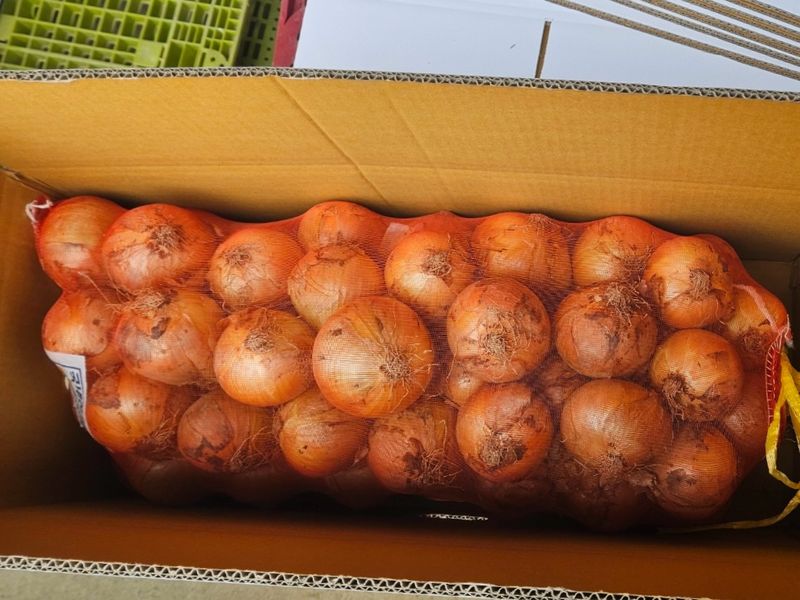 이영민님의 장터 판매 상품 [만생종 무안양파 20kg] 첨부 사진