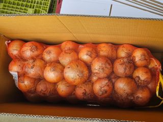 이영민님의 작성글 사진