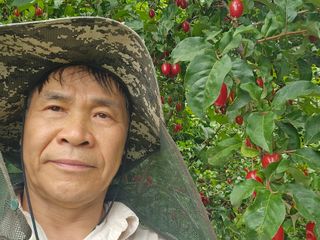 왕개미님의 자유주제 · 사진전 작성글 사진