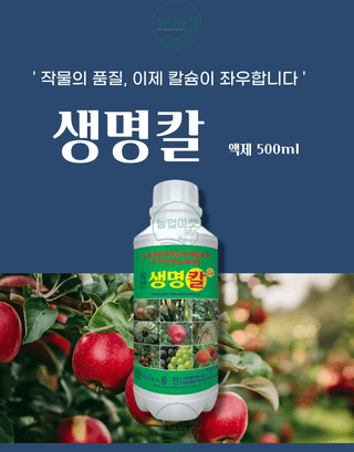 농업마켓365님의 작성글 사진