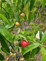 팜모닝 자유주제·자유게시판 게시글 이미지