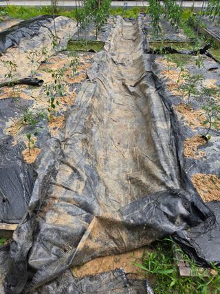 용진님의 자유주제 · 자유게시판 작성글 사진