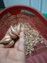 팜모닝 · 게시글 이미지