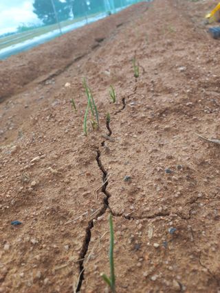 박린님의 자유주제 · 자유게시판 작성글 사진