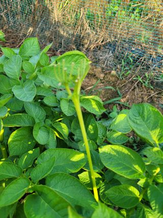 권석민님의 자유주제 · 자유게시판 작성글 사진