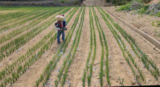 귀촌의꿈님의 자유주제 · 자유게시판 작성글 사진