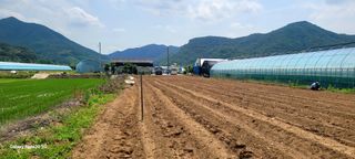 서대산향수님의 자유주제 · 자유게시판 작성글 사진