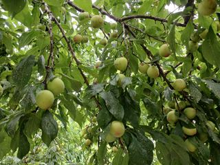 금동이네님의 자유주제 · 자유게시판 작성글 사진