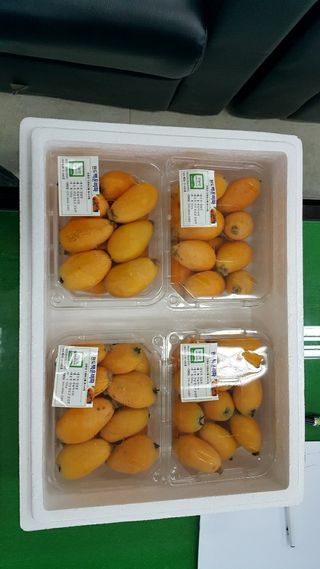 김상철님의 자유주제 · 자유게시판 작성글 사진