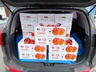 배경수 님의 자유주제 · 자유게시판 작성글 사진