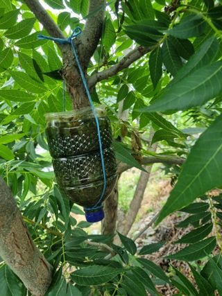 김용대님의 자유주제 · 자유게시판 작성글 사진