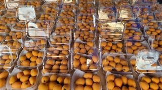 김상철님의 자유주제 · 자유게시판 작성글 사진