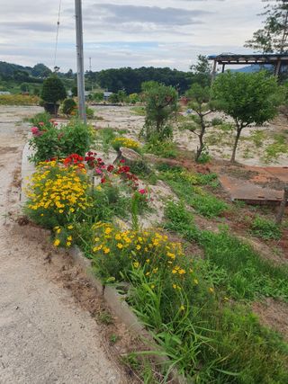 Chon792679님의 작성글 사진