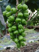 팜모닝 · 게시글 이미지