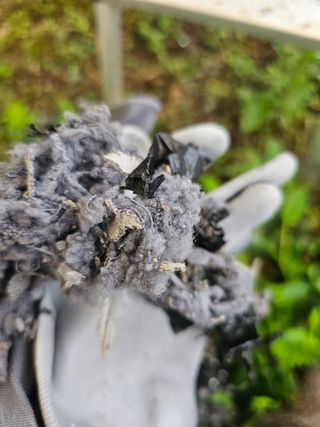 farmer님의 자유주제 · 자유게시판 작성글 사진