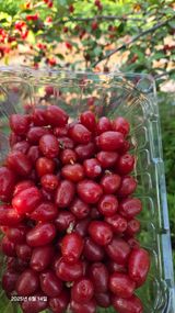 팜모닝 · 게시글 이미지