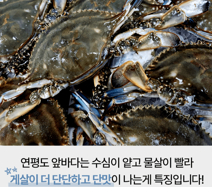 스피드번님의 장터 판매 상품 [연평도 급냉 암꽃게] 첨부 사진