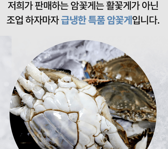 스피드번님의 장터 판매 상품 [연평도 급냉 암꽃게] 첨부 사진