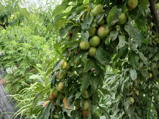 금동이네님의 자유주제 · 자유게시판 작성글 사진