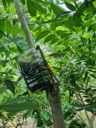 김용대님의 자유주제 · 자유게시판 작성글 사진