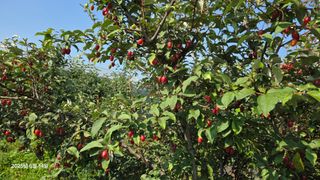 이종선님의 작성글 사진