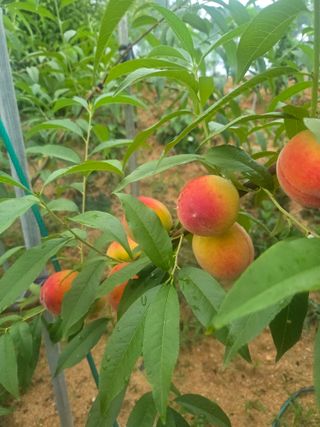 자연인님의 자유주제 · 자유게시판 작성글 사진