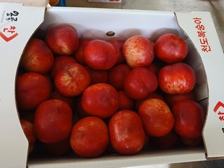 배경수 님의 자유주제 · 자유게시판 작성글 사진