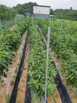 Chon792679님의 작성글 사진